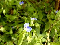 gardenmuseum (12).jpg